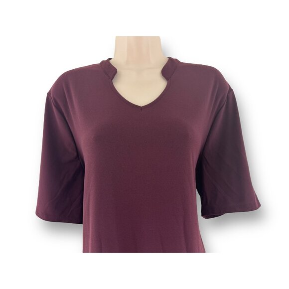 Chico's Size 3 = XL/16 ROYAL BORDEAUX ADELINE SHIFT DRESS *One inch snag in back - Picture 2 of 5